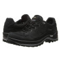 Damenschuhe Lowa Renegade III GTX Lo Ws