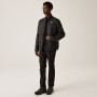 Herrenjacke Regatta Hillpack II