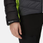 Herren-Winterjacke Regatta Harrock