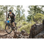 Hinterer Gepäckträger Topeak Tetrarack M2