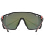 Brille Uvex MTN PERFORM