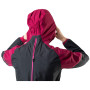 Damenjacke Dynafit Alpine Gtx W Jkt