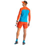 Herren-T-Shirt Dynafit Alpine Pro M L/S Tee