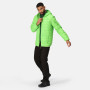 Herren-Winterjacke Regatta Hooded Hillpack