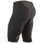 Herrenshorts Axon Racing II