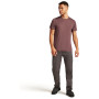 Herren-Funktionsshirt Icebreaker Men Merino 150 Tech Lite III SS Tee