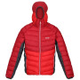 Herren-Winterjacke Regatta Harrock rot DkRed/ChinRd