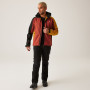 Herrenjacke Regatta Hewitts X