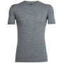 Herren-T-Shirt Icebreaker Mens 200 Oasis SS Crewe grau GritstoneHthr