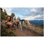 Hundegeschirr Ruffwear Switchbak™ Harness