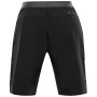 Herrenshorts Alpine Pro Zamb