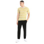 Herren-T-Shirt Icebreaker Drayden SS Tee Stripe
