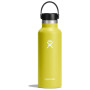 Thermoflasche Hydro Flask Standard Mouth 18 oz gelb/grün cactus