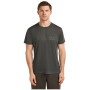 Herren-Funktionsshirt Icebreaker Merino Blend Core SS Tee Single Line Camp