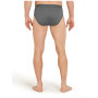 Herrenslips Icebreaker Mens Anatomica Briefs