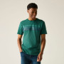 Herren-T-Shirt Regatta Rendro