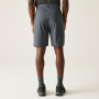 Herrenshorts Regatta Dalry Short