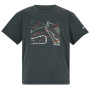 Kinder-T-Shirt Regatta Alvarado Seal Grey grau Seal Grey
