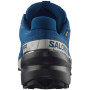 Herren Laufschuhe Salomon Speedcross 6 Gore-Tex
