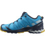 Herrenschuhe Salomon Xa Pro 3D V8 GTX
