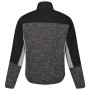Herren-Sweatshirt Regatta Coladane VI