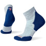 Damensocken Smartwool Run Targeted Cushion Ankle Socks W grau/orange Light Gray