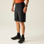 Herrenshorts Dare 2b Descent Short