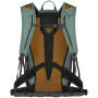 Rucksack Dynafit Transalper 24 Backpack