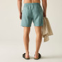 Herrenshorts Regatta Hadlin Shorts