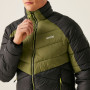 Herrenjacke Regatta Dalent