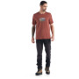 Herren-T-Shirt Icebreaker Men Tech Lite II SS Tee Trailhead