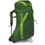 Rucksack Osprey Exos 38 (2021) grün TunnelGreen