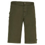 Herrenshorts E9 Kroc Flax grün Musk