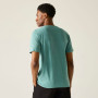 Herren-T-Shirt Regatta Cline IX