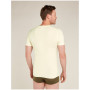 Herren-T-Shirt Icebreaker Mens Anatomica SS V