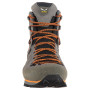 Herrenschuhe Salewa Ms Mtn Trainer 2 Winter Gtx