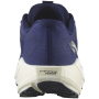 Herren Laufschuhe Salomon Aero Blaze 3 Grvl