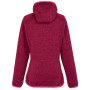 Damen-Sweatshirt Regatta Wms Hood Newhill
