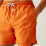 Herrenshorts Regatta Mackleyna Swim Short