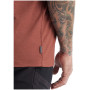 Herren-T-Shirt Icebreaker Men Tech Lite II SS Tee Trailhead