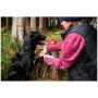 Erste-Hilfe-Set für Hunde Mountain Paws Dog First Aid Kit