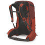 Rucksack Osprey Manta 34