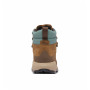 Herren Trekkingschuhe Columbia Newton Alpine Pt™