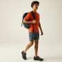 Herrenshorts Regatta Xert Stretch Shorts