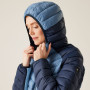 Damen-Winterjacke Regatta Women Hooded Dalent