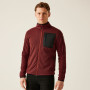 Herren Funktions-Sweatshirt Regatta Kitom