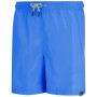 Herrenshorts Regatta Mackleyna Swim Short