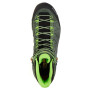 Herrenschuhe Salewa Ms Alp Trainer 2 Mid Gtx