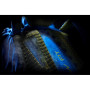Rucksack Salewa MTN Trainer 25