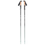 Trekkingstöcke Black Diamond Pursuit FLZ Trekking Poles